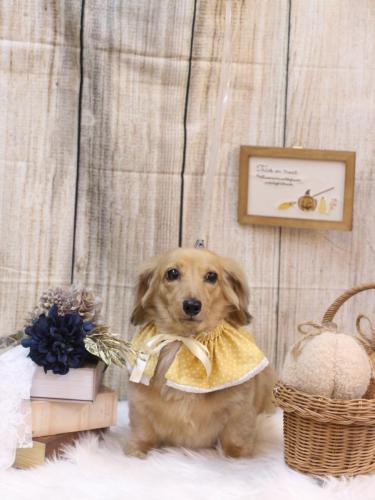 20241005モカちゃん